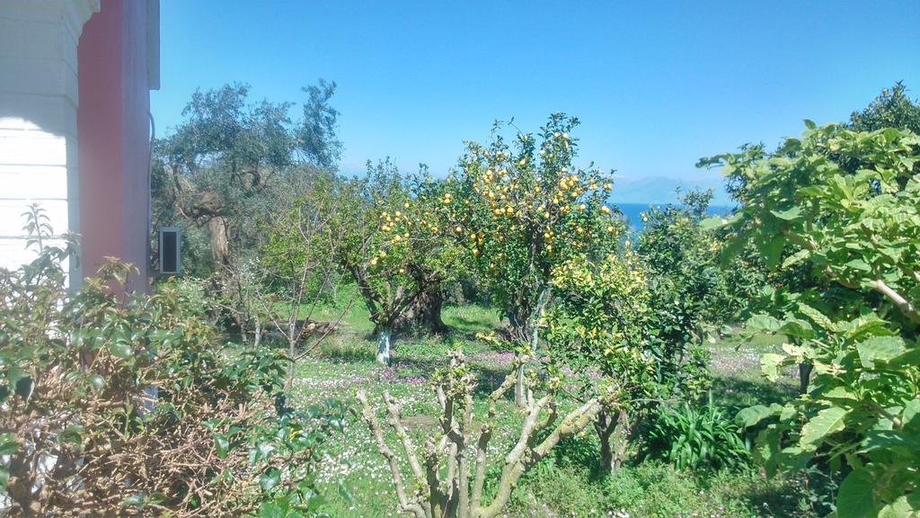 Maria'S Paradise Astrakeri Dış mekan fotoğraf