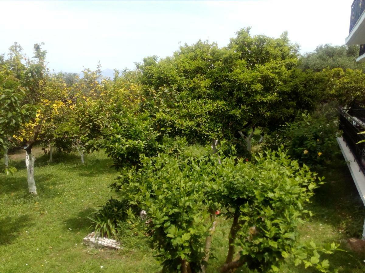 Maria'S Paradise Astrakeri Dış mekan fotoğraf